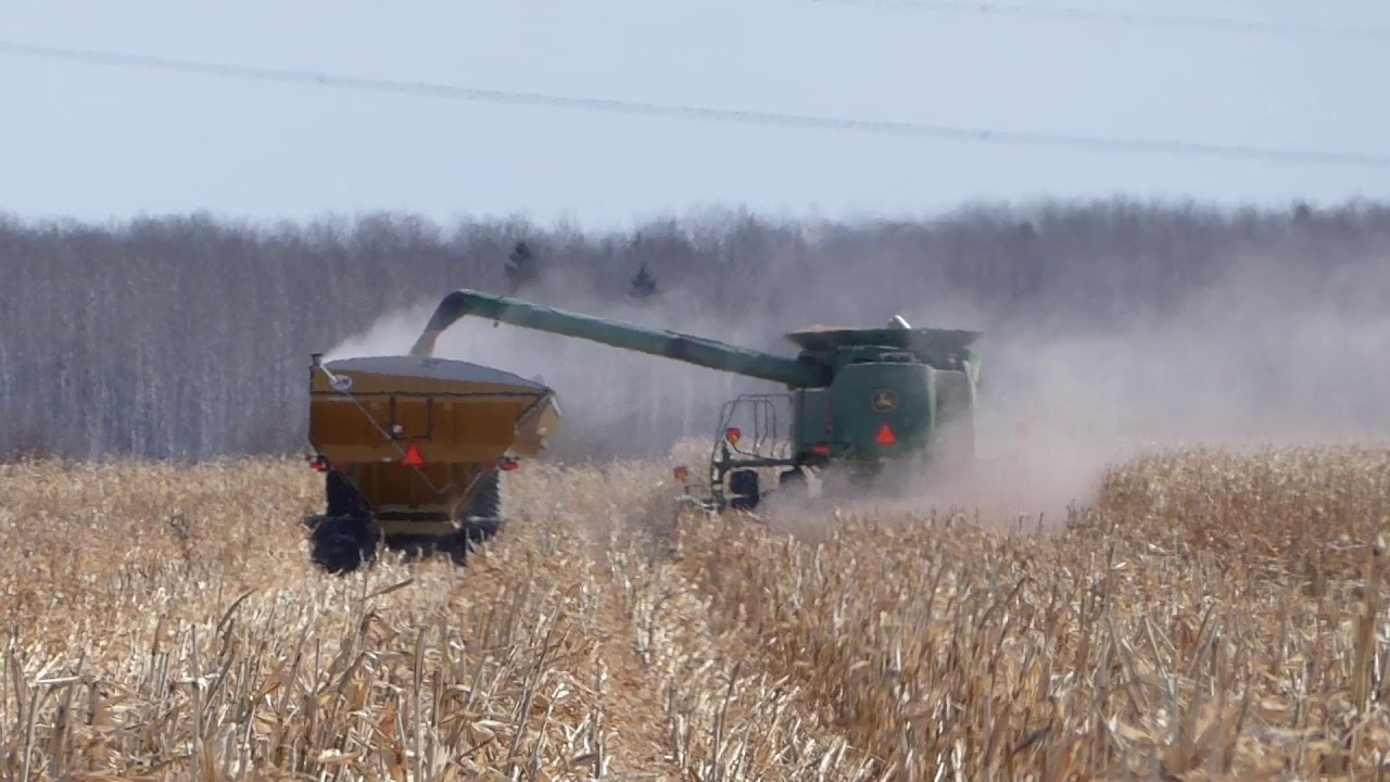 Spring 2020 Corn Harvest