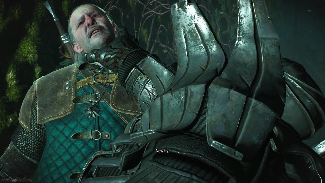 Witcher 3 Wild Hunt - Imlerith Kills Vesemir And Ciri Loses Control | No Commentary Gameplay