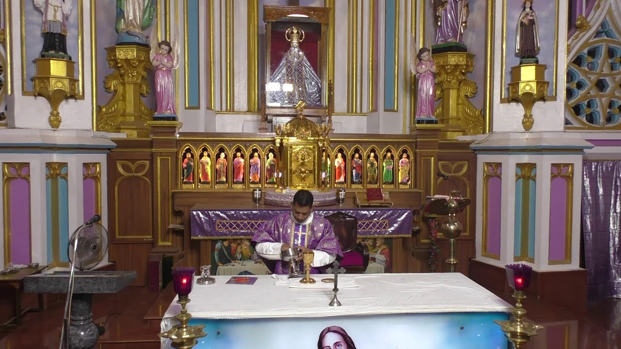 ༺♰༻ 🅛🅘🅥🅔 𝑽𝒂𝒅𝒂𝒗𝒂𝒊 𝑷𝒂𝒓𝒂𝒍𝒐𝒈𝒂 𝑴𝒂𝒕𝒉𝒂 - Festival Mass in Tamil -  2025 - திருப்பலி