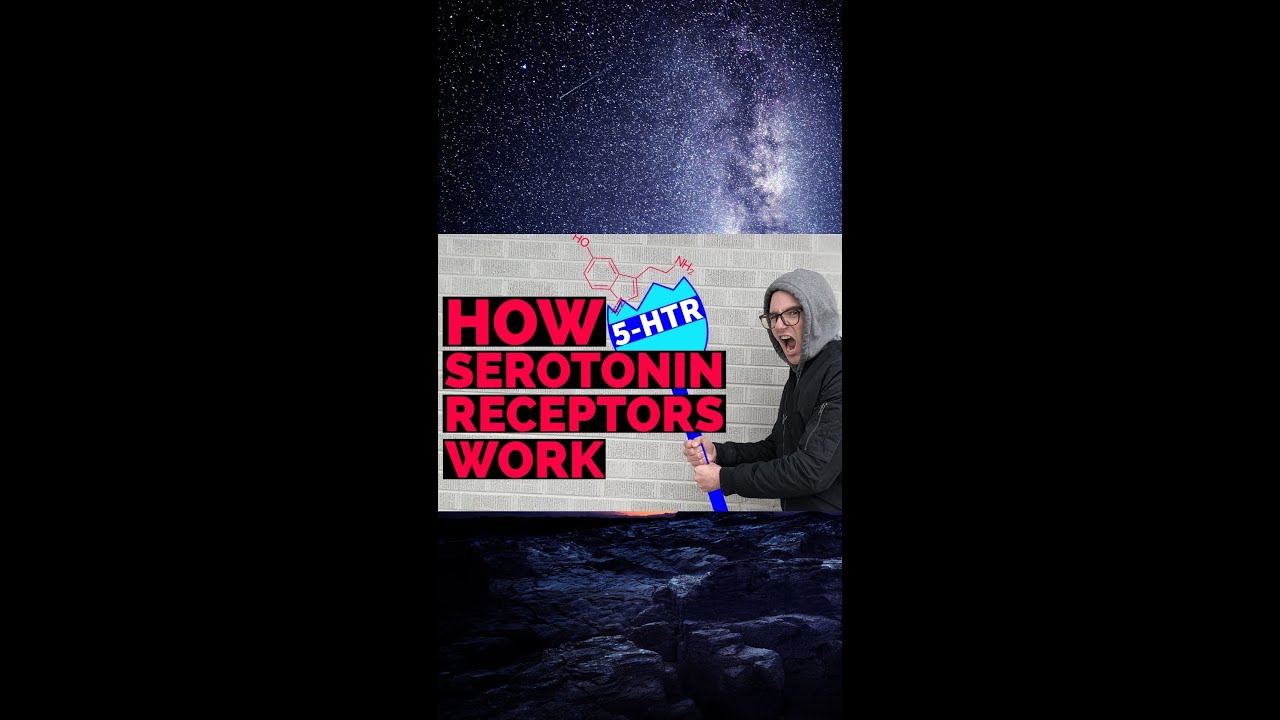 How do the serotonin receptors work? (Preview of full length video)