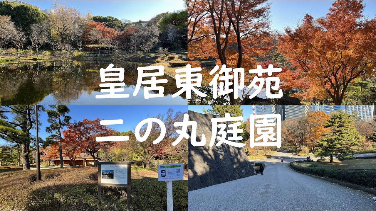 皇居東御苑「二の丸庭園」編 　2022年12月20日 #autumn leaves