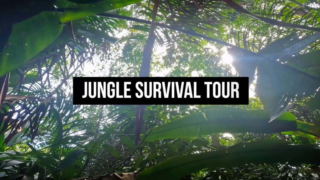 Jungle Survival Tour | Activities Near Manaus