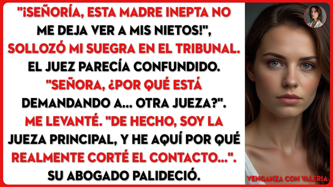 Mi suegra me demandó por los derechos de los abuelos. Se le olvidó que soy jueza de...