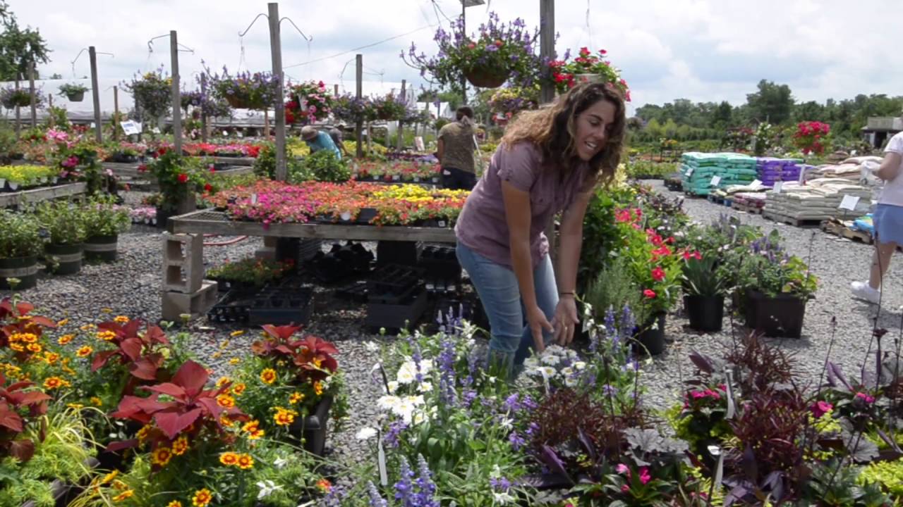 VIRTUAL TOUR of The Best Garden Center Around: Bountiful Gardens!
