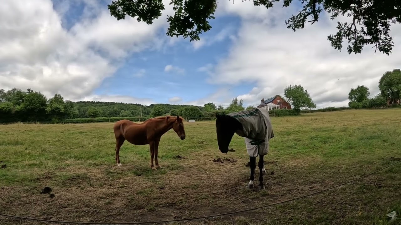Walking in Worcestershire - Knapp and Papermill nature reserve