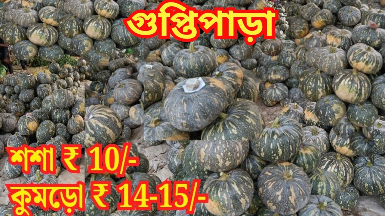 প্রচুর পরিমাণে শসা ঝিঙে বেগুন কুমড়া ভেন্ডিতে ভরে গেছে হাট। Wholesale Vegetable Market In Kolkata