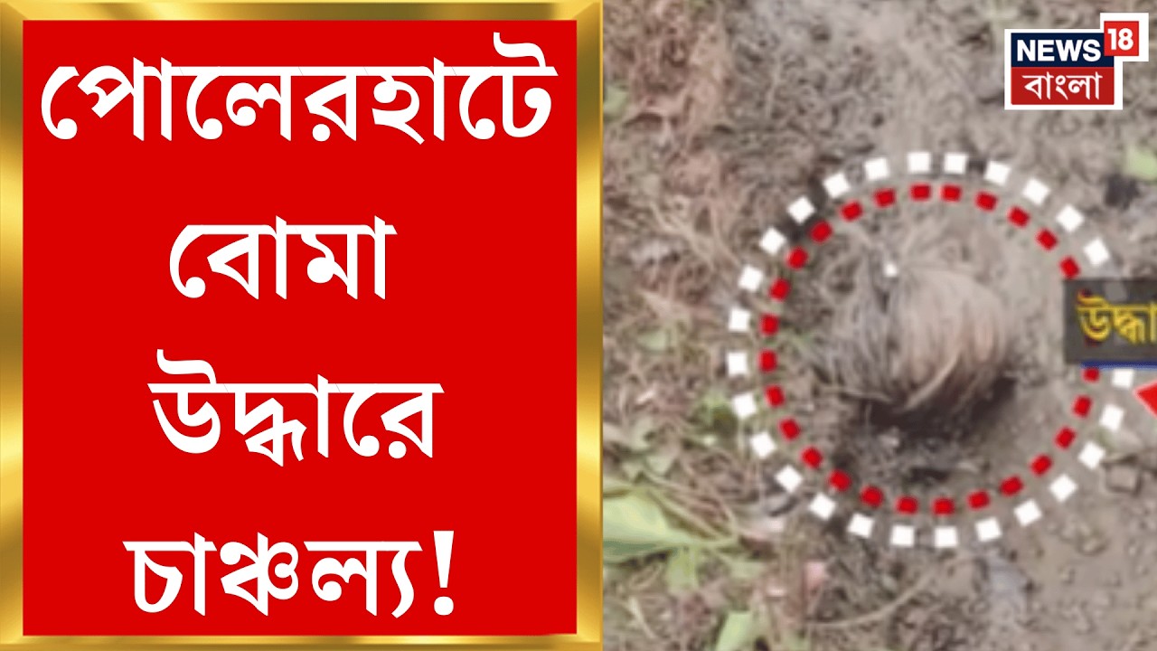 Bhangar News | মঙ্গলপুর খুনে বটতলায় ৩ তাজা বোমা উদ্ধার, চাঞ্চল্য এলাকাজুড়ে | Bangla News