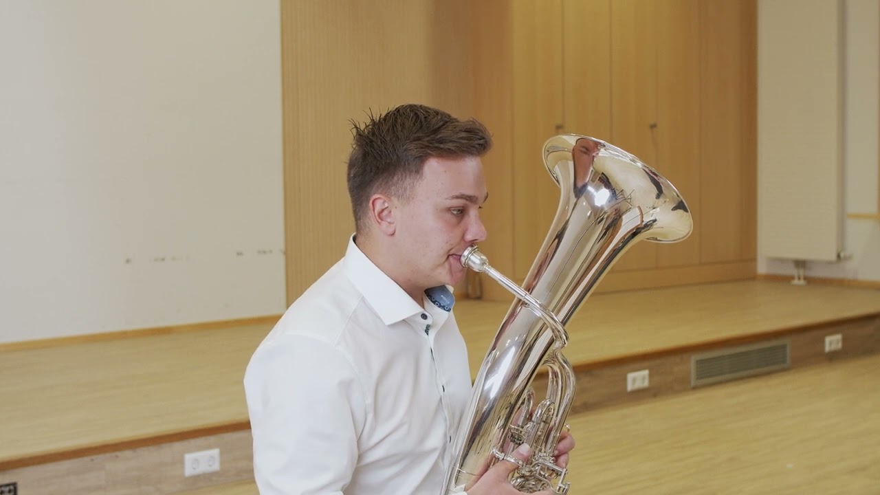 Tenorhorn/Bariton 