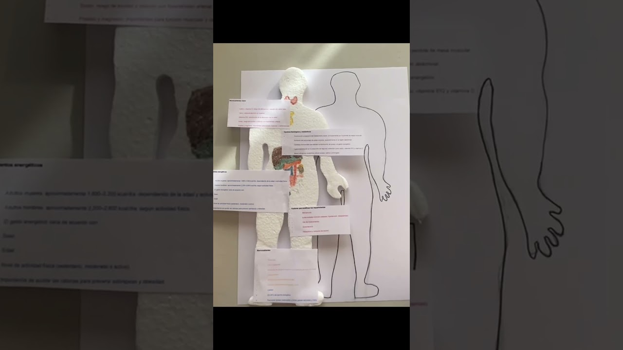 Cambios fisiológicos y metabólicos en la edad adulta 