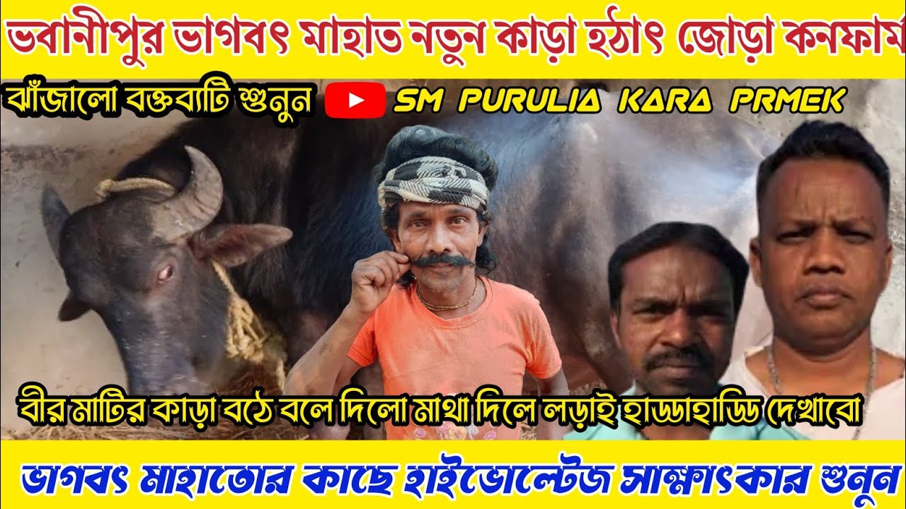 ভবানীপুর ভাগবৎ মাহাত নতুন কাড়া প্রথমেই বাইরে জোড়া কনফার্ম করার পর!জোরালো বক্তব্য দিলেন কমিটিকে ।।