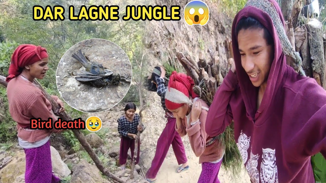 Ghash Daura Garna Yasto Dar Lagne Jungle Ma😱 || Dherai Garo Bhayo🥺 || Sita Subash Vlog ||