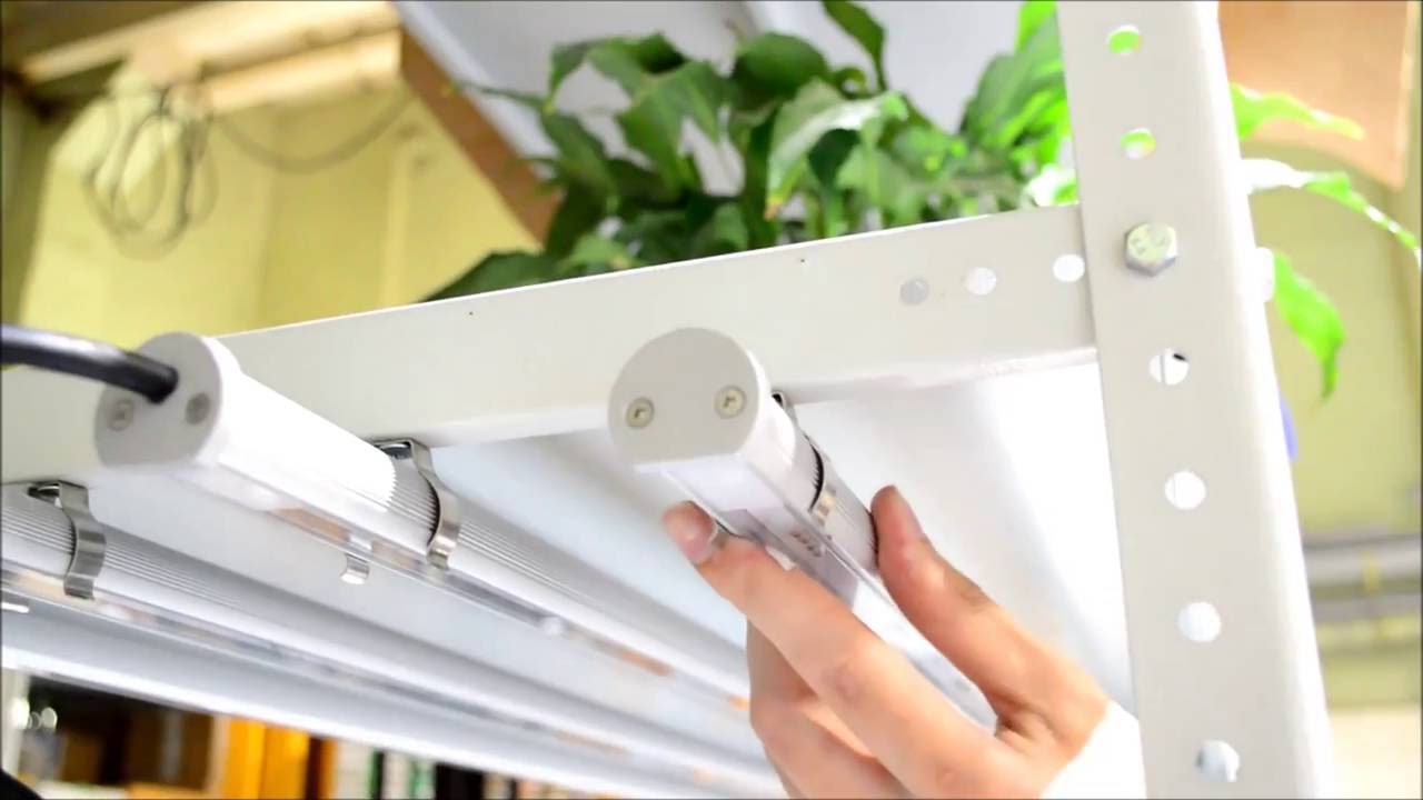 Groline. LED lights for horticulture l Genesis Scientific