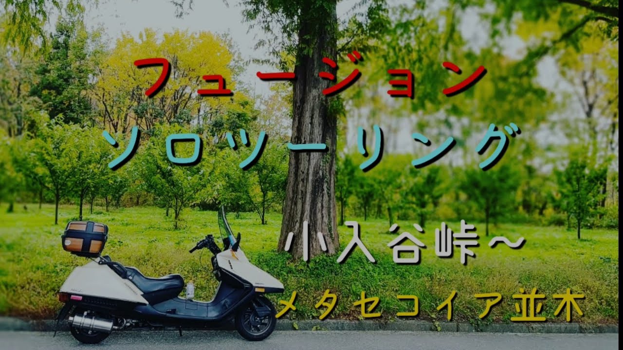 フュージョンソロツーリング 小入谷峠〜メタセコイア並木🛵