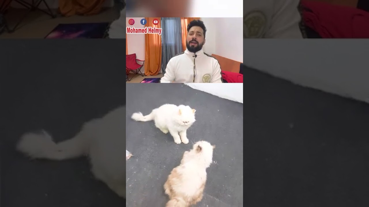 حضرت معاهم ليلة الدخله وعملت تعليق صوتي هيموتك ضحك 🤭😅