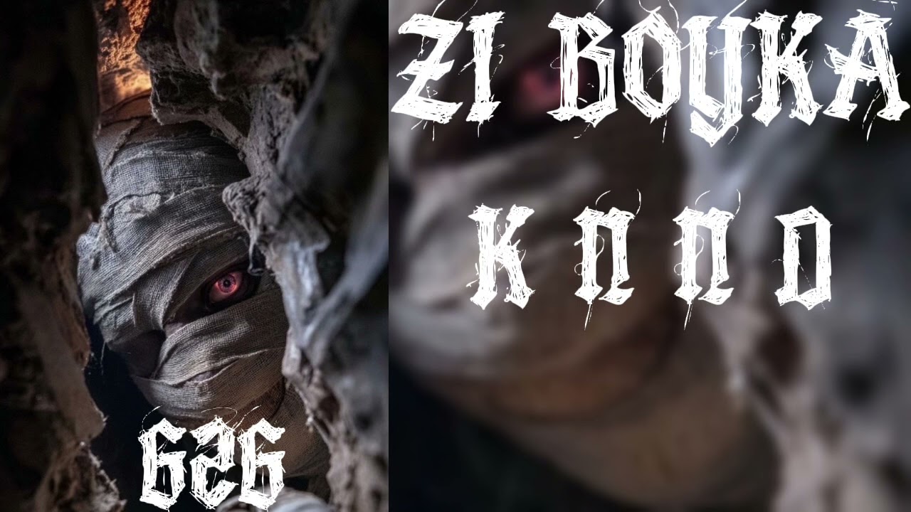 ZI BOYKA_K N N D_