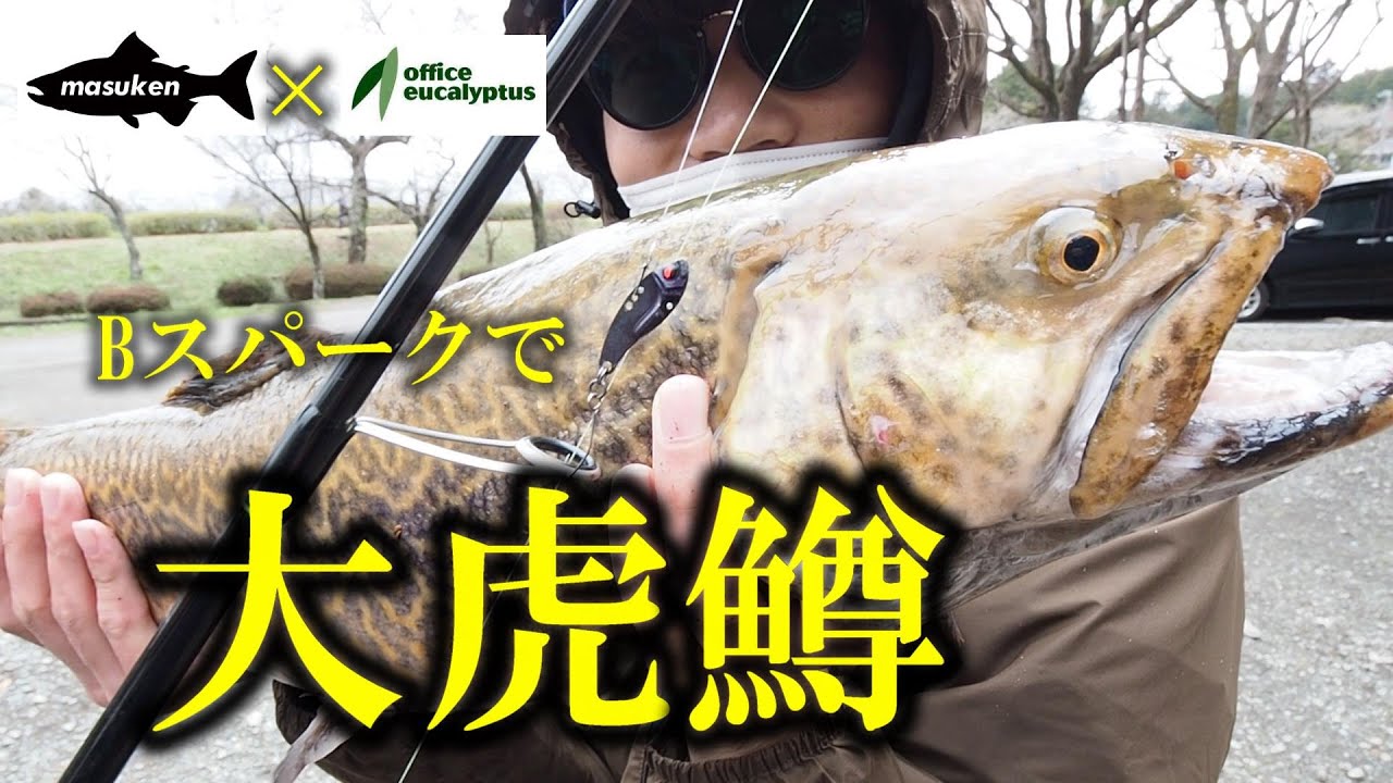 【釣りガール】オフィスユーカリコラボ！デカマスGET!IアジズさんともコラボIN東山湖　【エリアトラウト　管理釣り場】