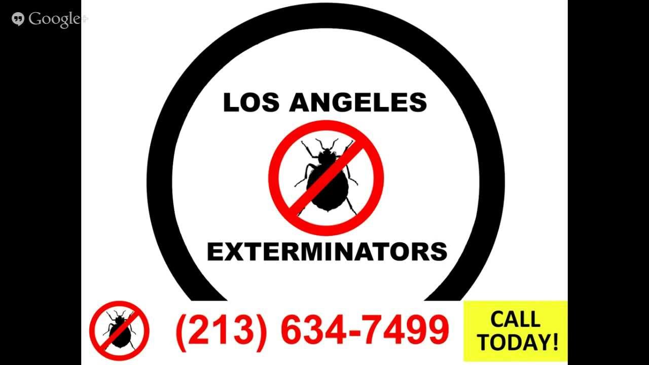 24 Hour Emergency Pest Control and Exterminator Los Angeles