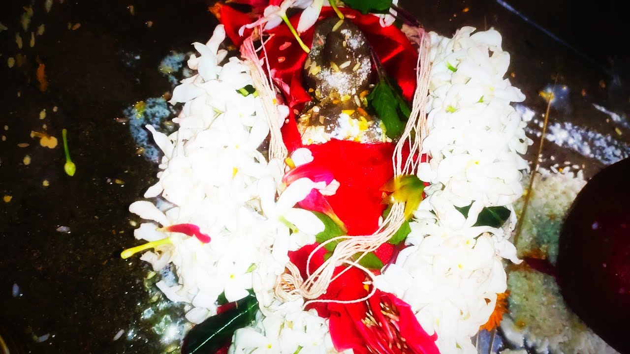 Balabhadra janma niti at home|Bala bhadra mahaprabhu birth ritual at home|gamha purnima|srinibash...