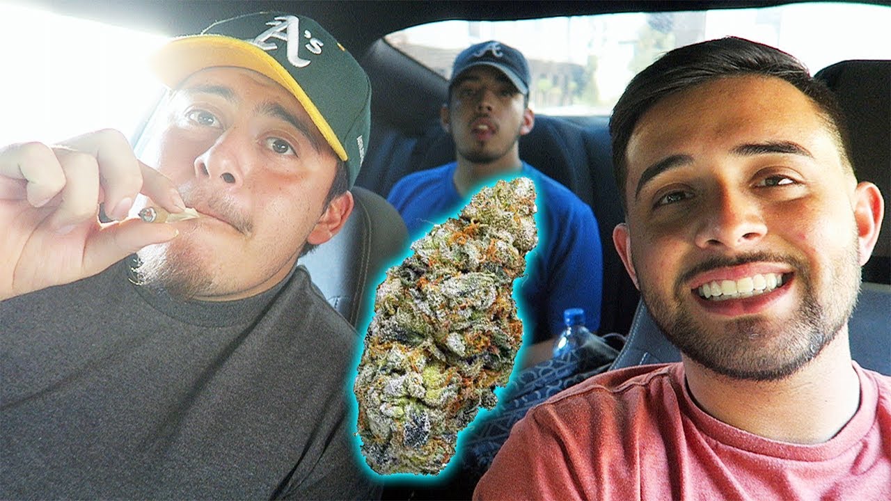BLUE COOKIES SWISHER SWEET SESH!