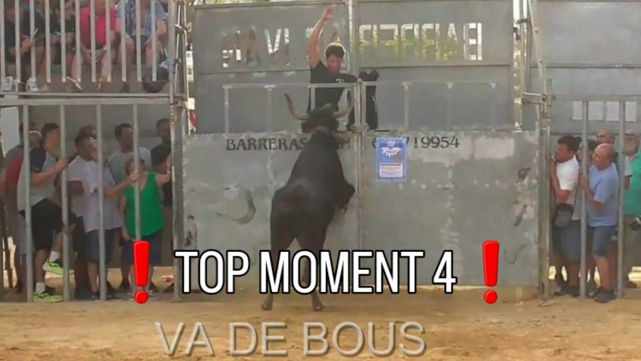 🐂IMPACTANTES MOMENTOS de los GRANDES MOMENTOS DEL 2023❗️PARTE 4 #grandesmomentos2023 #vadebous#bous