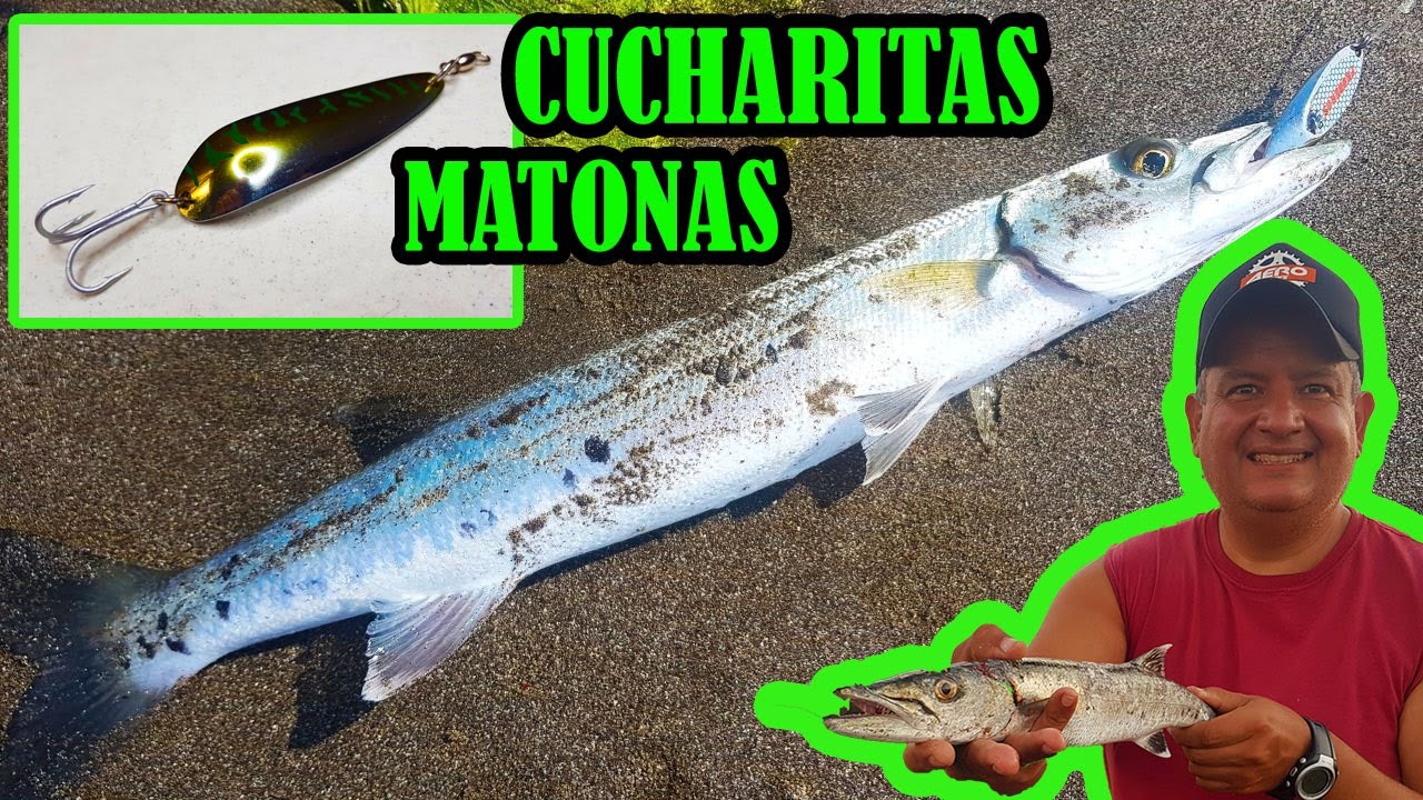 PESCA EN VERACRUZ CON CUCHARITAS GUIA COMPLETA PARA PESCA EN EL PUERTO DE VERACRUZ Y BOCA DEL RIO