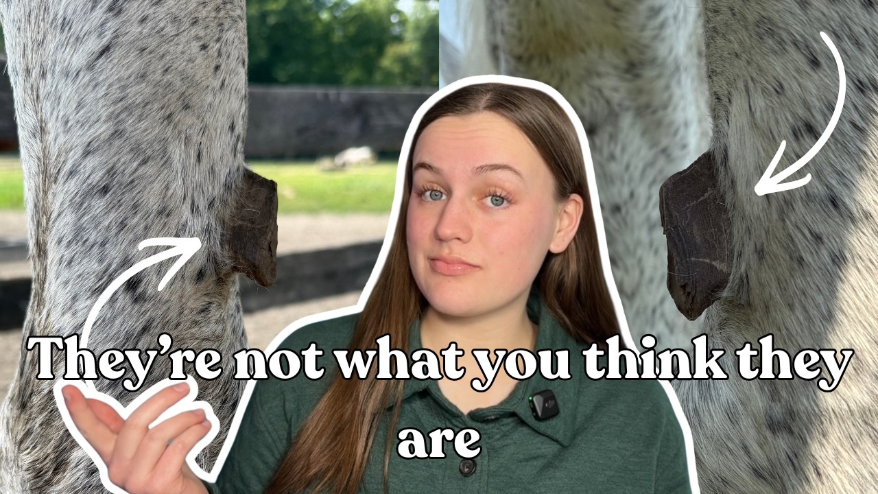 You're Wrong About Horse Chestnuts | What Chestnuts Really Are