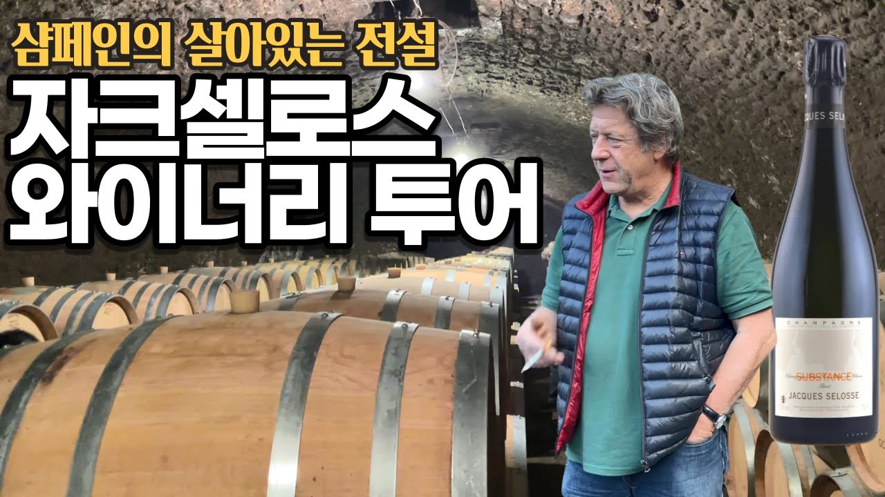 샴페인의 끝판왕👍없어서 못마시는 자크셀로스 와이너리 다녀왔습니다.