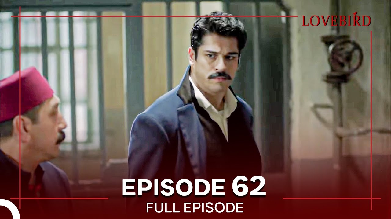 Lovebird Episode 62