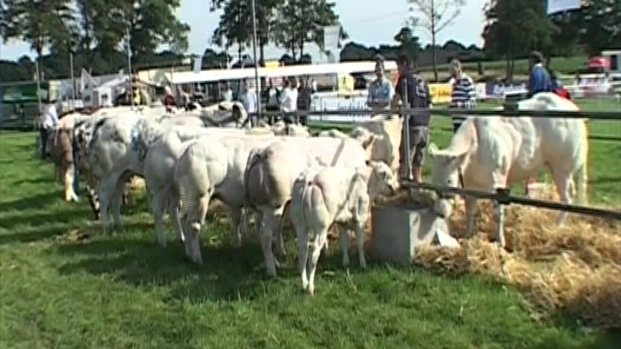 Oogstfeest Stroe 2015