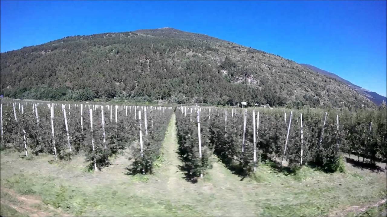 Treno della Val Venosta. Tratto Oris-Spondigna visto dal finestrino.