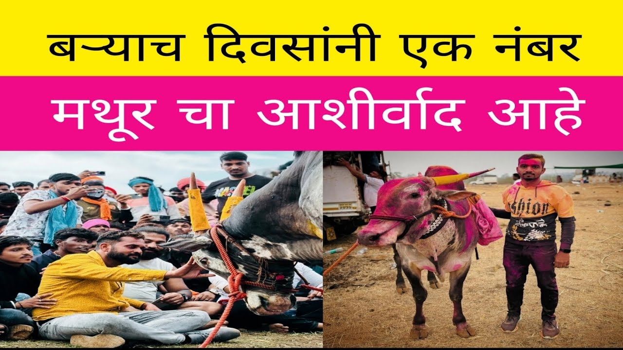 आज निमसोड येथे झालेल्या आदत मैदानात आदत चांद आणि माणघर वादळ ने एक नंबर केला 