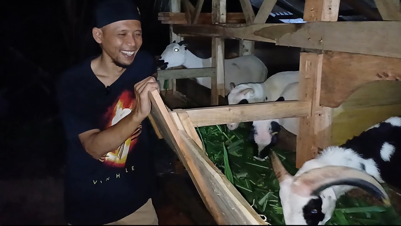 PENGIRIMAN JAJALON DARAAN KE CIDAUN CIANJUR SELATAN
