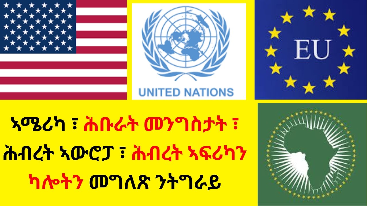 ኣሜሪካ ፣ ሕቡራት መንግስታት ፣ ሕብረት ኣውሮፓ ፣ ሕብረት ኣፍሪካን ካሎትን መግለጽ ንትግራይ