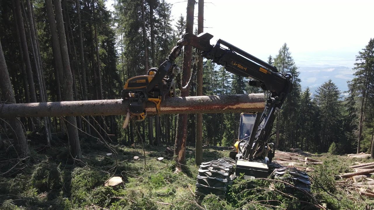 🌲🌲 POWERCUTTING 🌲🌲 Kubikfabrik 🌲🌲 Ponsse Bear 🌲🌲 Logging 🌲🌲 Arbeiten wo andere Urlaub machen 🌲🌲