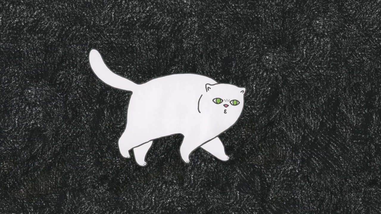 Nada - Beyaz Kedi