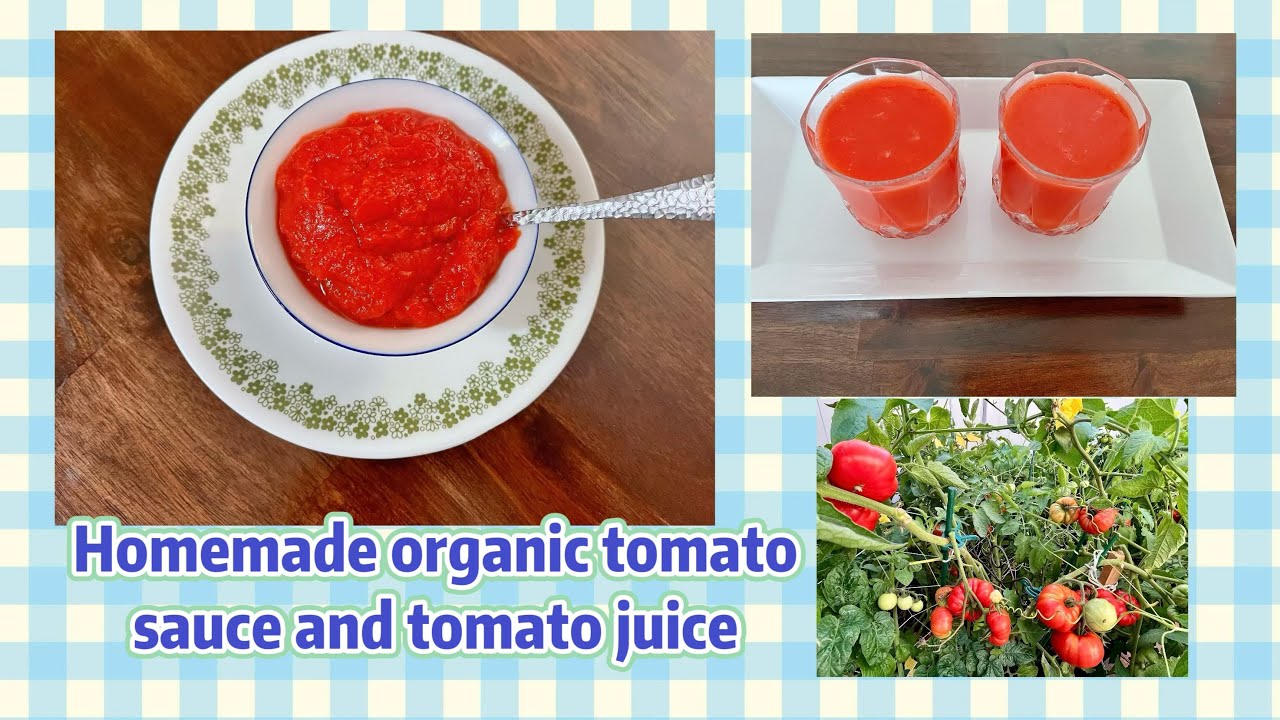 Homemade pure organic tomato sauce and tomato juice-Healthy, no artificial ingredient 