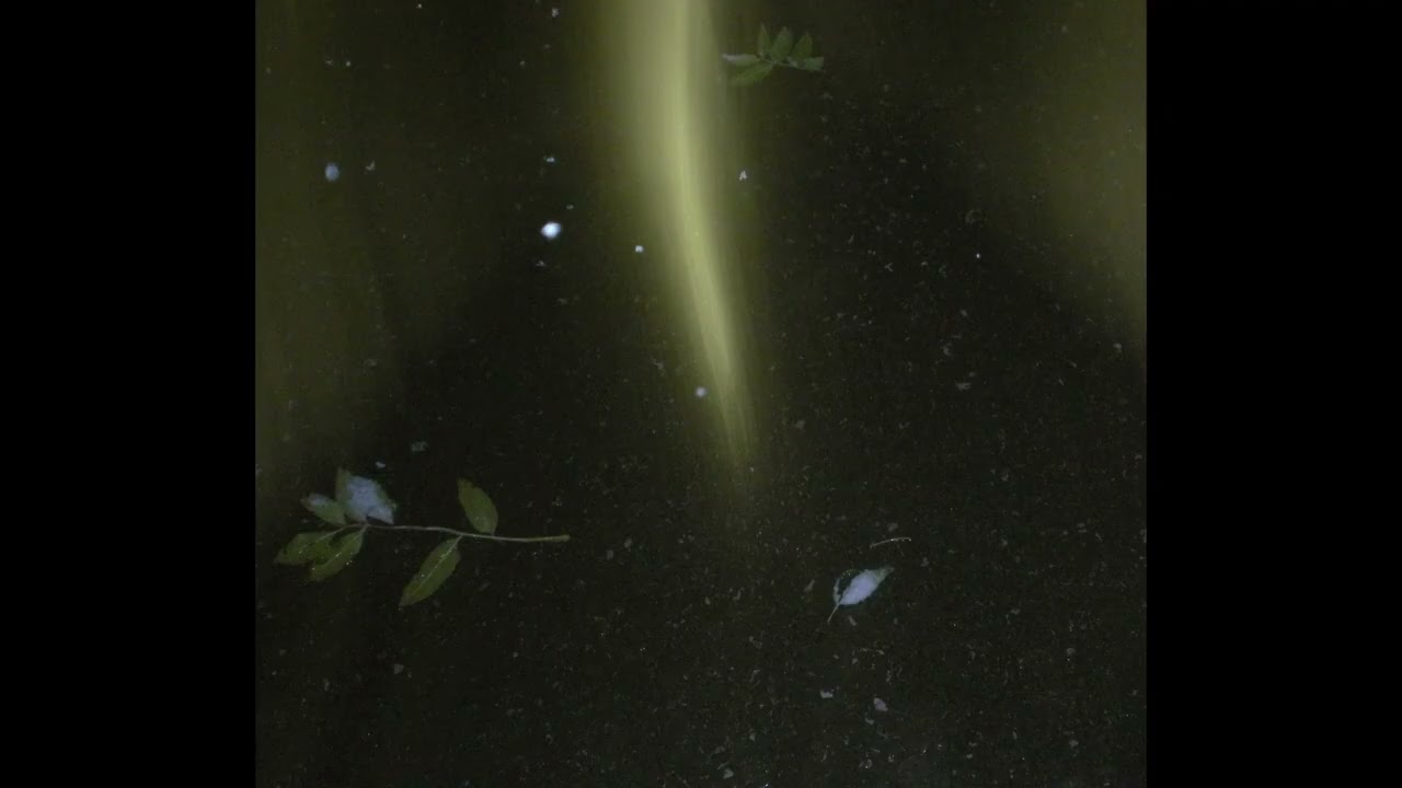 [FREE] sad indie type beat - 'chasing ghosts'
