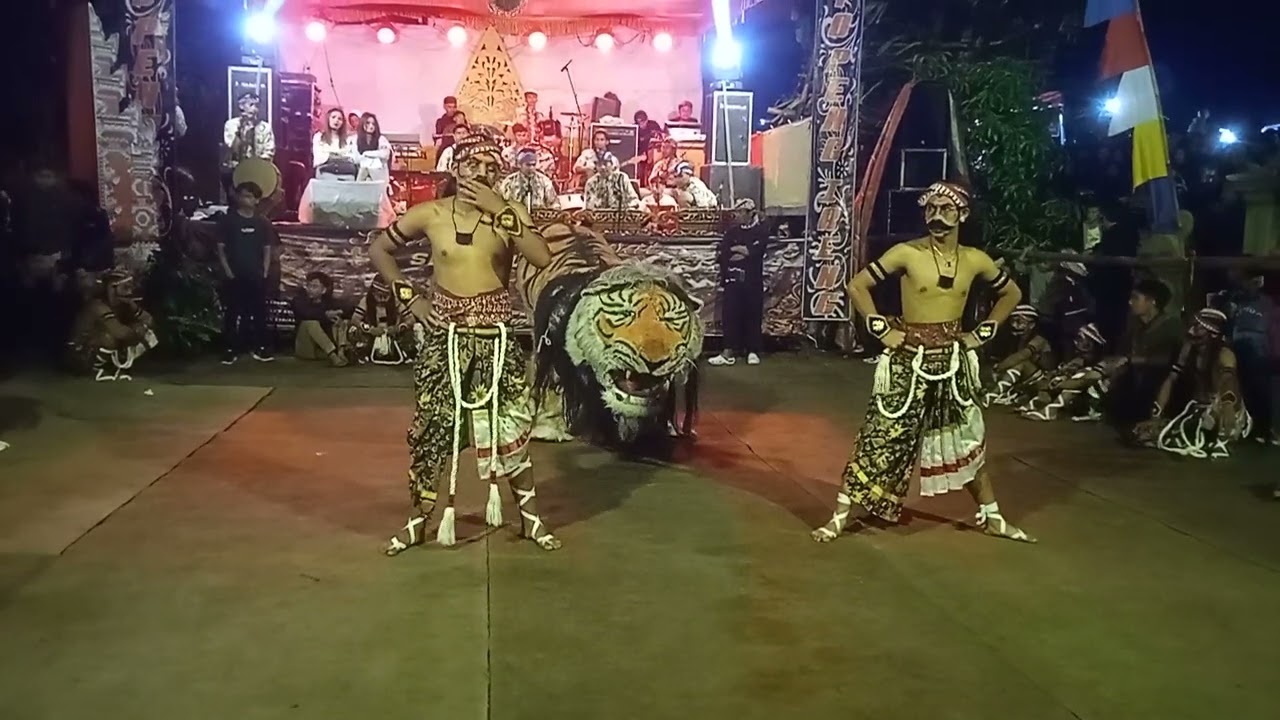 Warok vs MACAN
