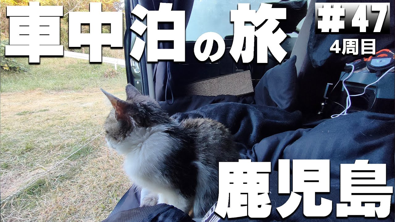 【#4-47】鹿児島の無料キャンプ場「佐多岬野営場」→「ふれあいの森キャンプ場」【車中泊の旅】（日本一周4周目）