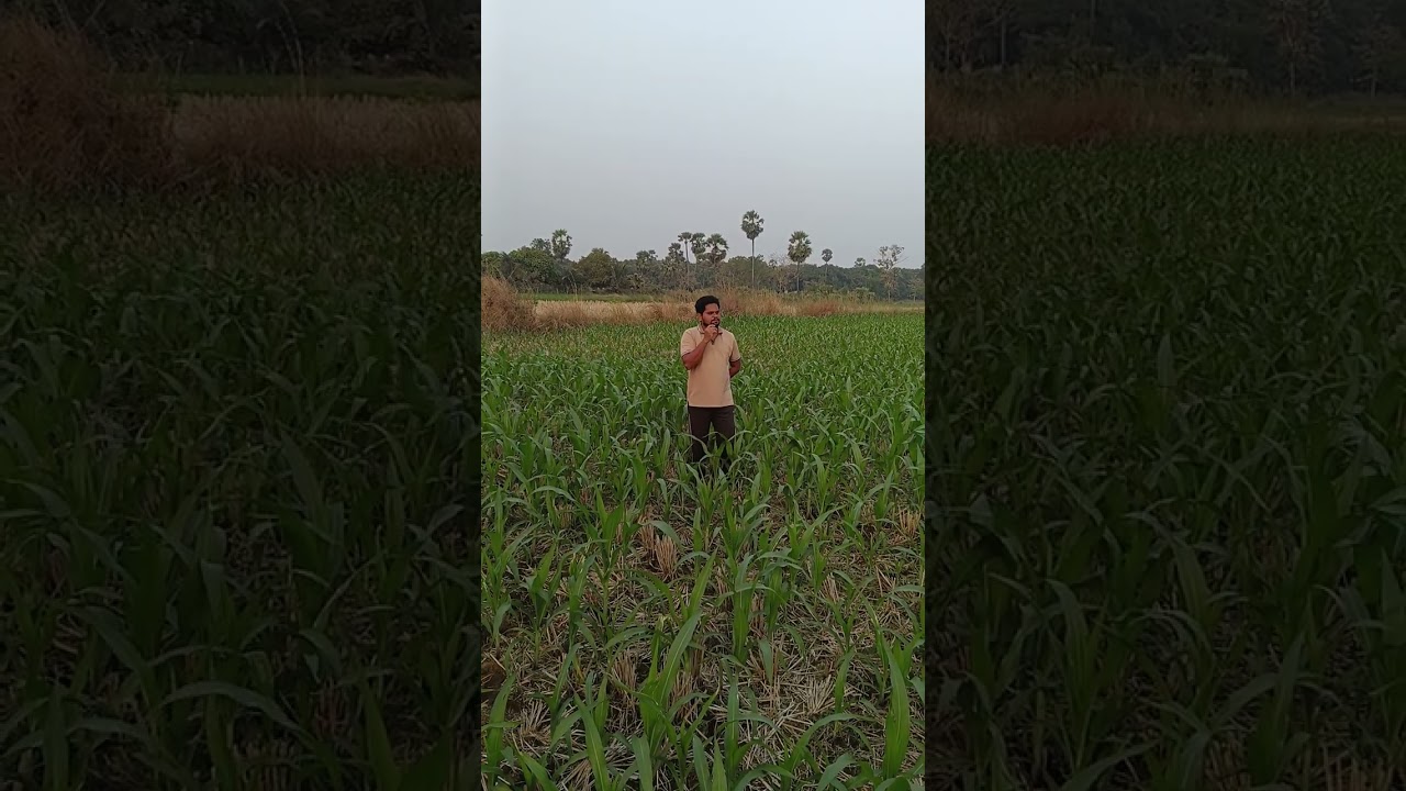 జాతీయ ఆదాయం