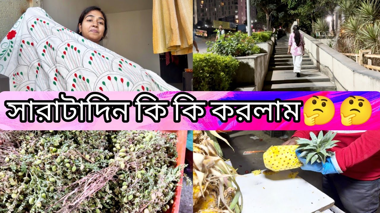 আজ সারাদিন বাড়িতে কি কি করলাম 🤔🤔।। কমলালেবুর খোসা গুঁড়ো করলাম কেন ☺️☺️।।