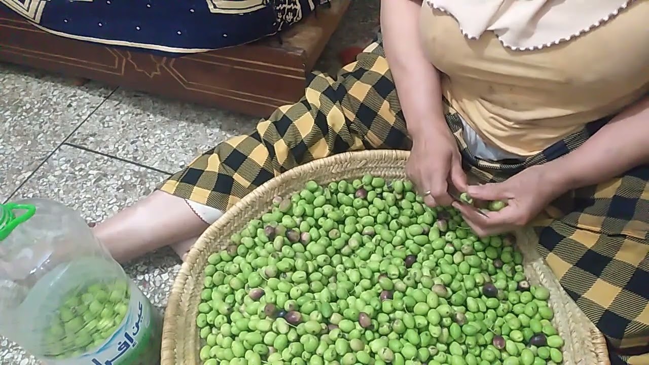 جاوقت الزيتون حمد الله على رحمة الله