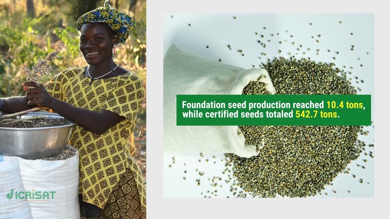 ISSD-Sahel Project Strengthens Seed Sector in Mali and Niger