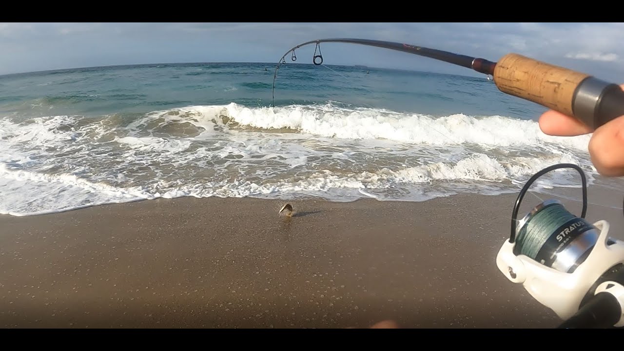 The PERFECT bait for SURF FISHING? HALIBUT, CORBINA and more!