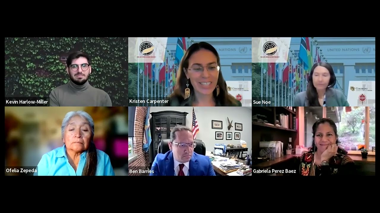 Language Rights are Human Rights: Participating in the International Decade of Indigenous Languages