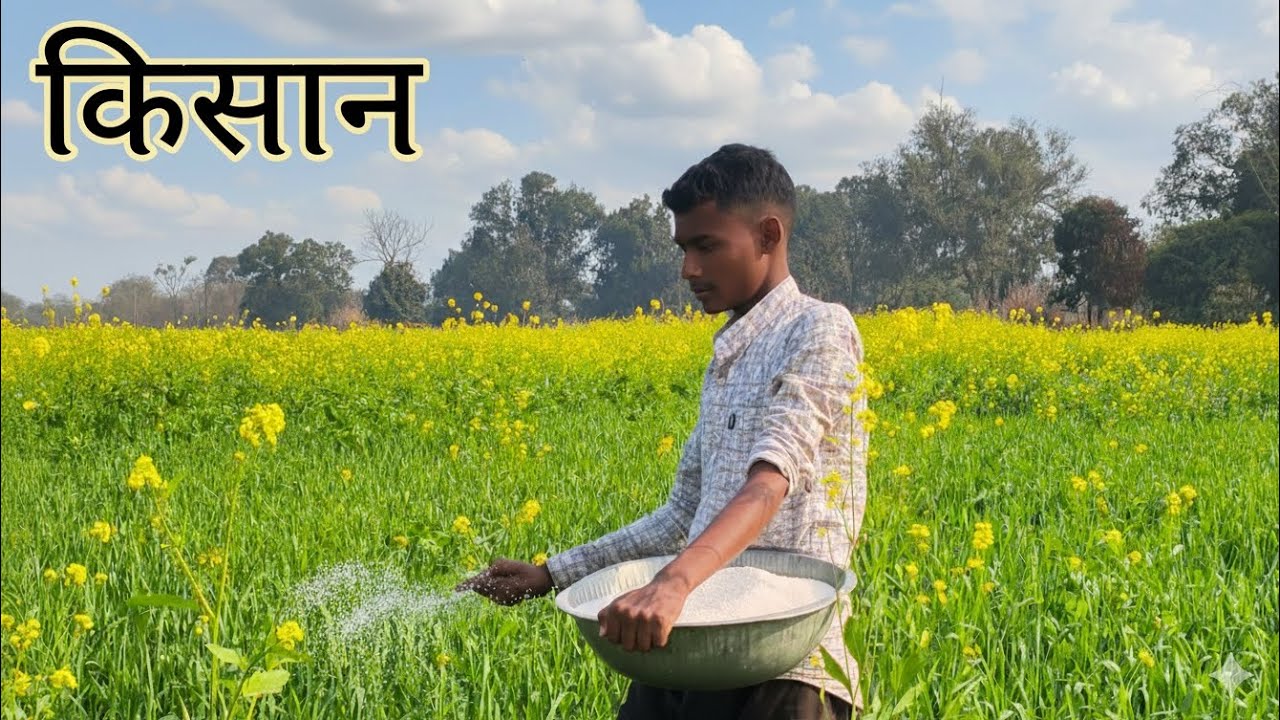 Farmer Kisan. Full responsibility of the house on a 15 year old boy 🔥 Spraying urea in the field. Undercovee Total 🇮🇳