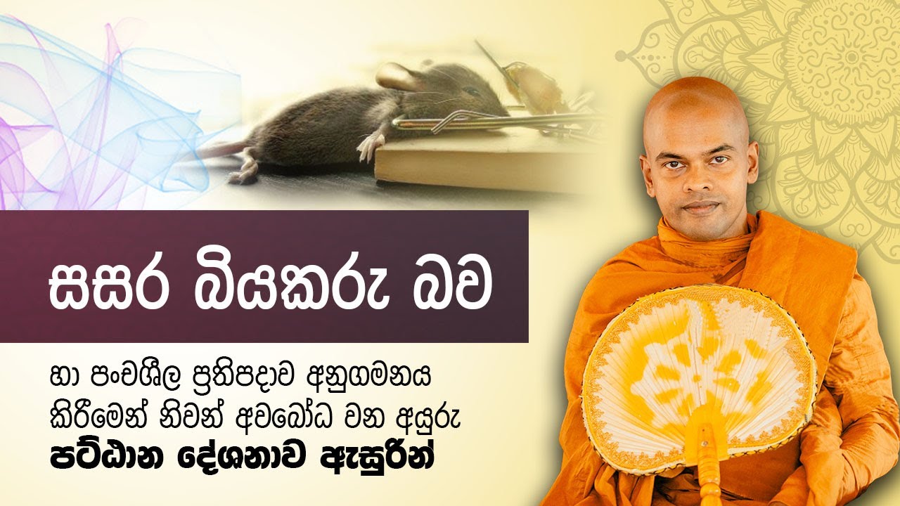 සසර බියකරු බව | පූජනීය කිරිවත්තුඩුවේ අරියදස්සන ස්වාමීන් වහන්සේ