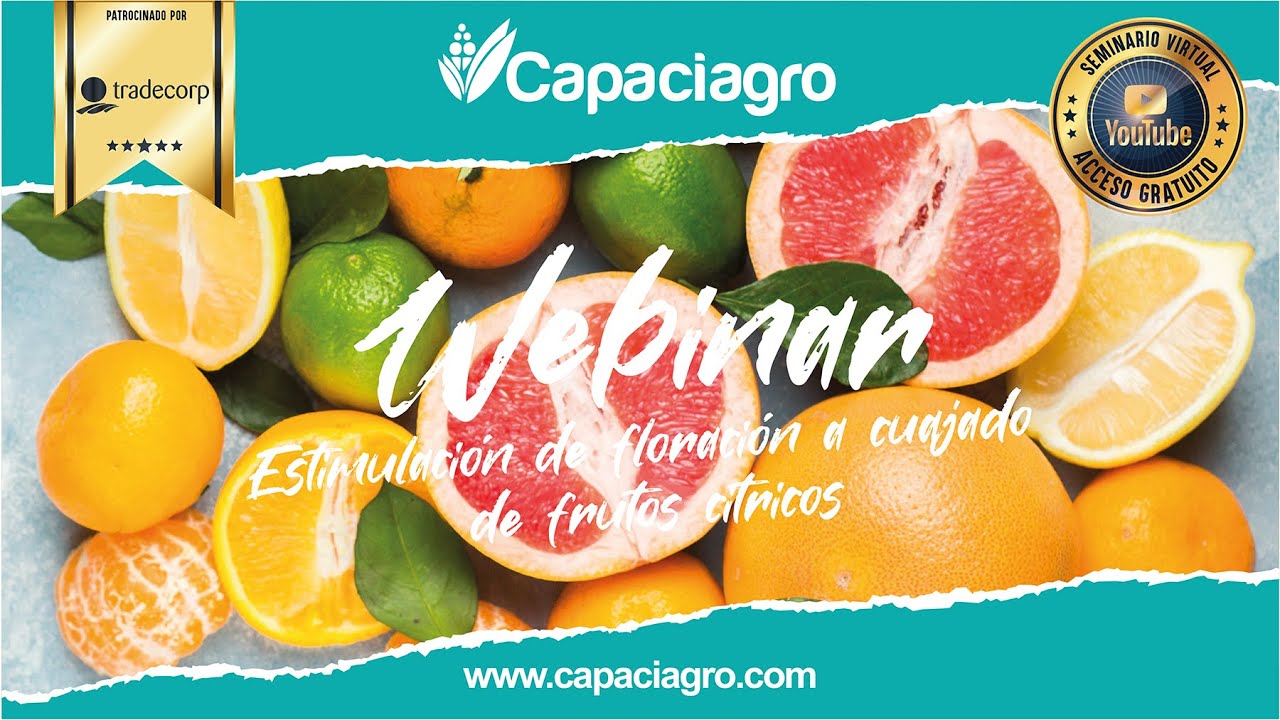 #Capaciagro | Estimulación de floración a cuajado de frutos cítricos