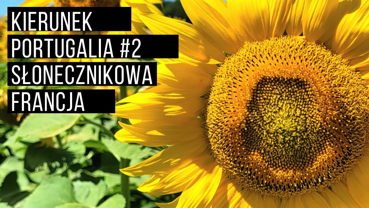 Słonecznikowa Francja, droga do Portugalii
