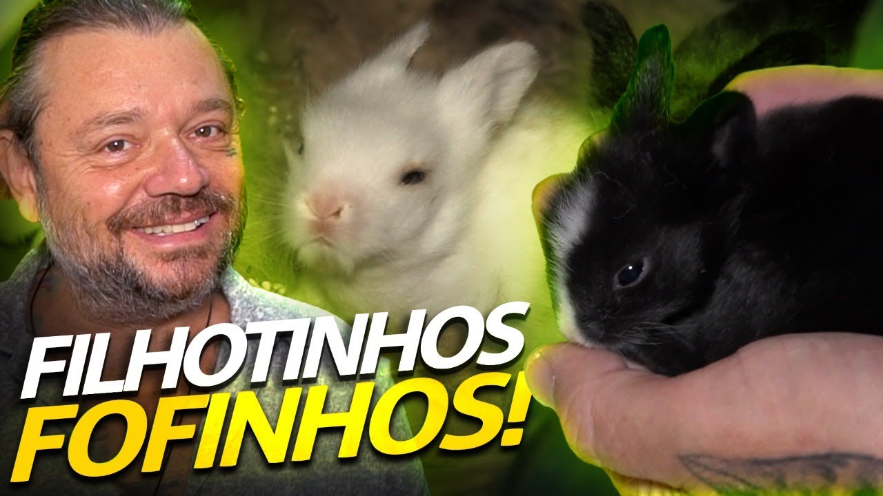 OS NOVOS COELHINHOS ESTÃO CRESCENDO! | A CASA DOS BICHOS